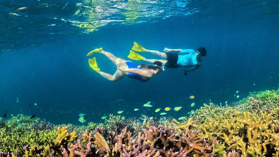Hidden Gili's Lombok Snorkeling Daily Tour - Gili Bidara: Coral, Fish, and Clear Water