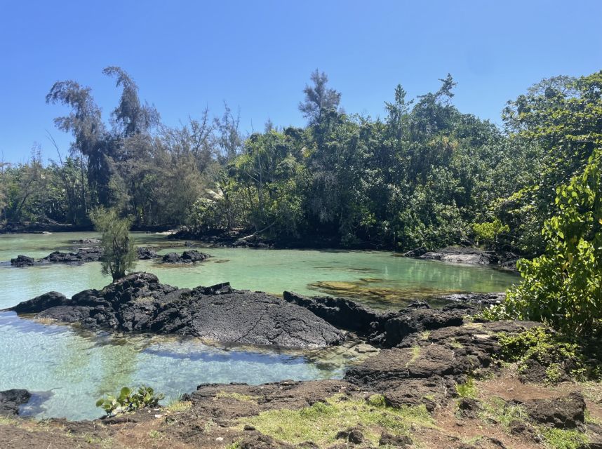 Hilo: Sea Turtle Lagoon and Black Sand Beach Snorkel - The guides are a major part of the value
