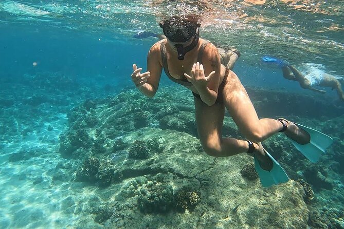 Hilo Sea Turtle Snorkel Adventure - Leleiwi Beach Park: a compact setting for sea turtles