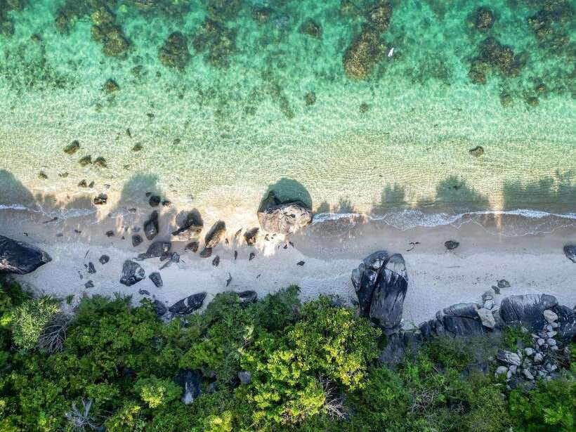 Hoi An: Cham Island and Bai Xep Day Tour with Snorkeling - Who will enjoy this Cham Island outing