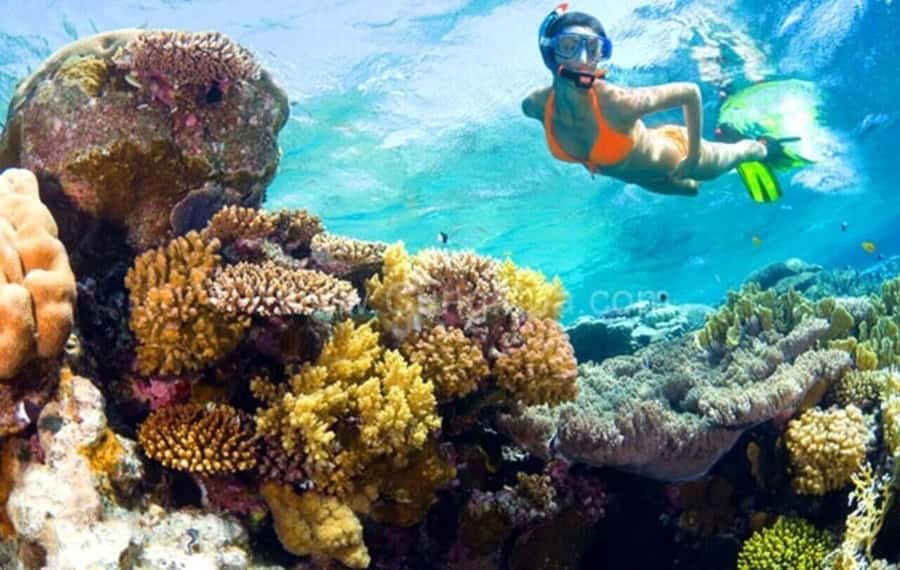 Hoi An: Cham Islands Snorkeling Trip by Speedboat with Lunch - From Hoi An to the Cham Islands by speedboat