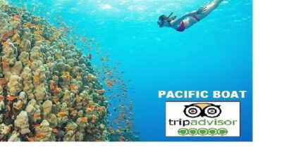 Hoi An/Da Nang: Snorkelling & Island-Hopping Speedboat Tour