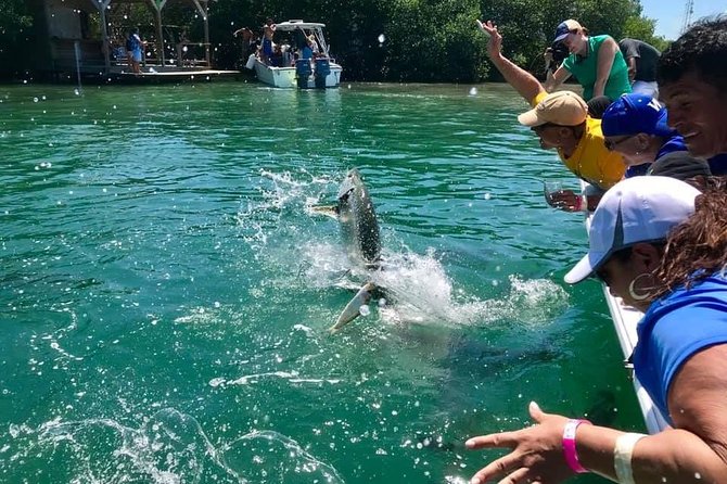Hol Chan Marine Park and Shark Ray Alley Snorkeling - The Caye Caulker stop and the true pace of the day