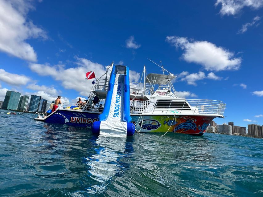 Honolulu: Deluxe Waikiki Snorkel and Wildlife Cruise - From Kewalo Basin to Diamond Head by boat