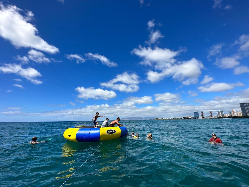 Honolulu: Deluxe Waikiki Snorkel and Wildlife Cruise - Should you book the Waikiki snorkel and wildlife cruise?