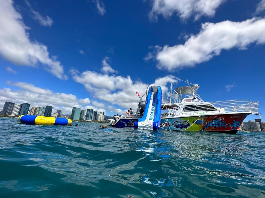 Honolulu: Deluxe Waikiki Snorkel and Wildlife Cruise - Ninety minutes near Waikiki