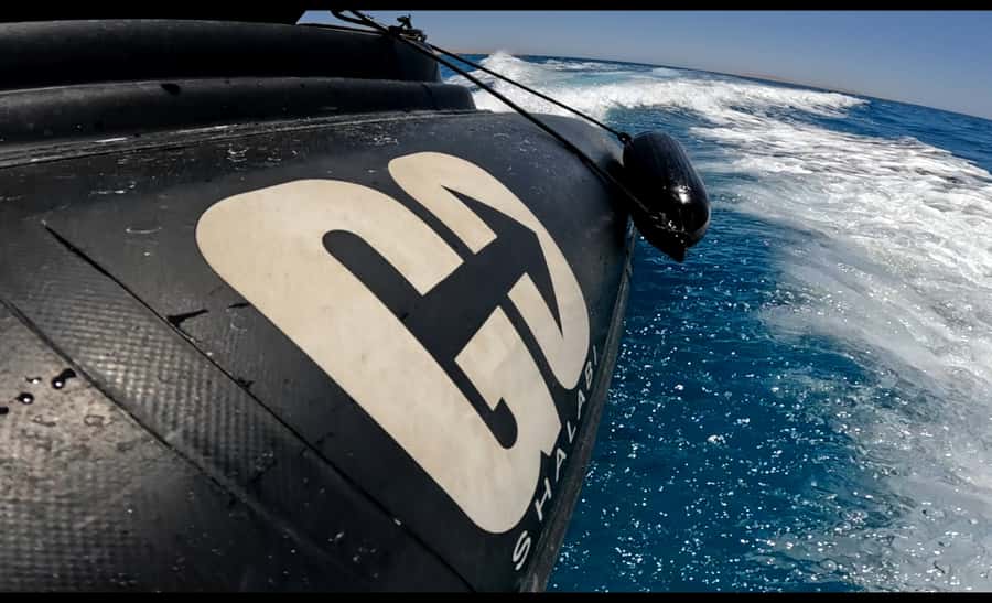 Hurghada: 3-Island Speedboat, Dolphin Watching & Snorkeling - Two reef swims, including the wreck site
