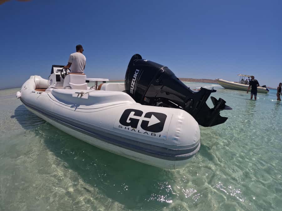 Hurghada: 4 Island Hopping Tour Dolphin, Snorkeling & Lunch - Who will enjoy this trip most
