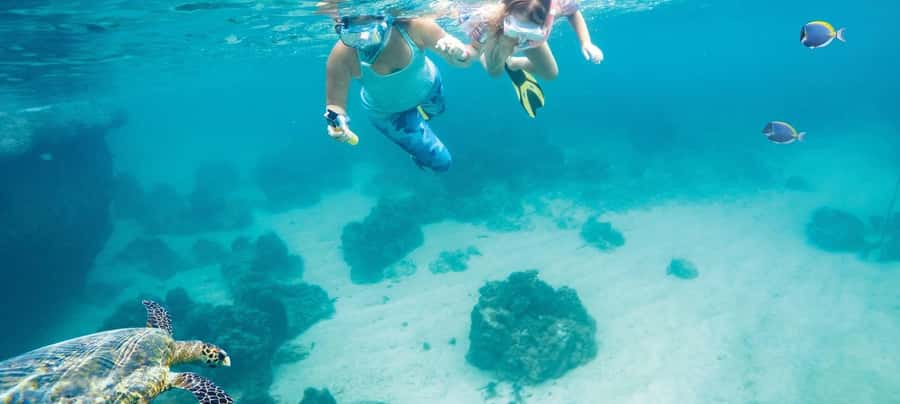 Hurghada: Day Snorkeling with Dolphins - The day starts with a hotel pickup