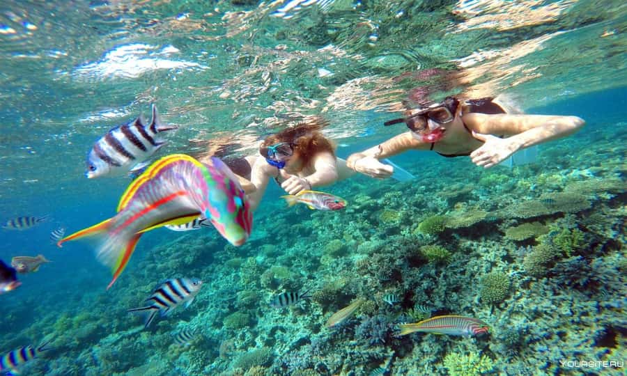 Hurghada: Day Snorkeling with Dolphins - The possible inflatable ride