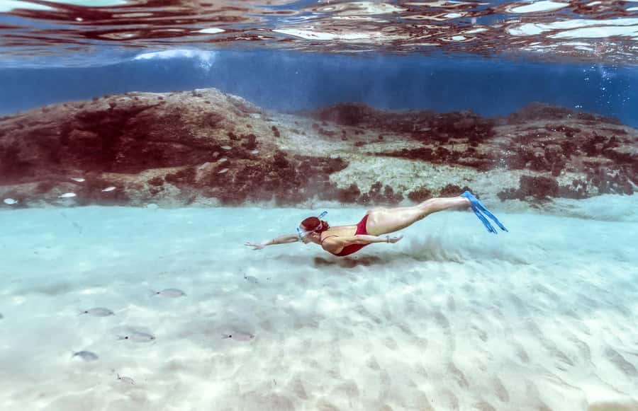 Hurghada: Day Snorkeling with Dolphins - Respecting the dolphins and the reef