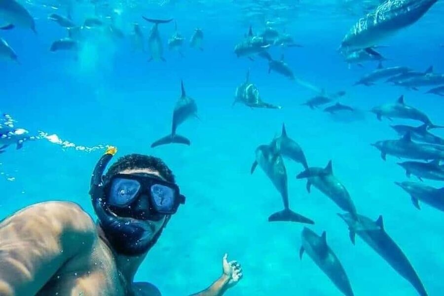 Hurghada: Dolphin & Coral Reef Snorkeling Tour with Lunch - Dolphin watching, with nature on its own terms