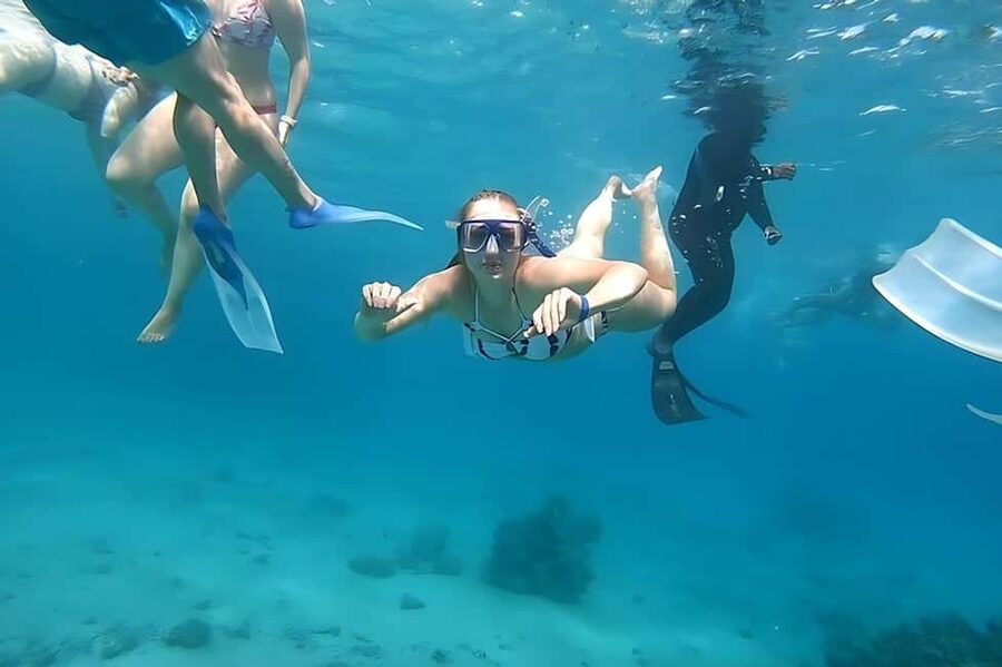 Hurghada: Dolphin Cruise with Snorkeling & Buffet Lunch - Lunch, drinks, and the practical value of $26