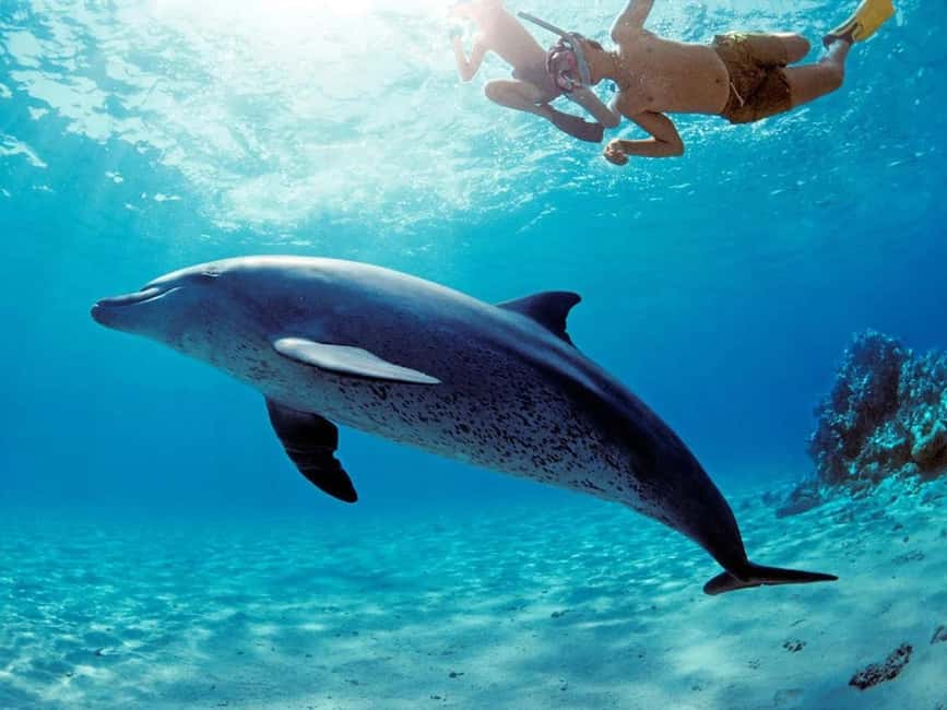 Hurghada: Dolphin Watching Boat Tour with Snorkeling & Lunch - Banana boat fun before the return