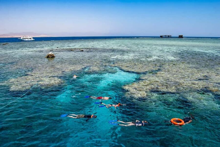 Hurghada: Dolphin Watching Boat Tour with Snorkeling & Lunch - Practical details that matter