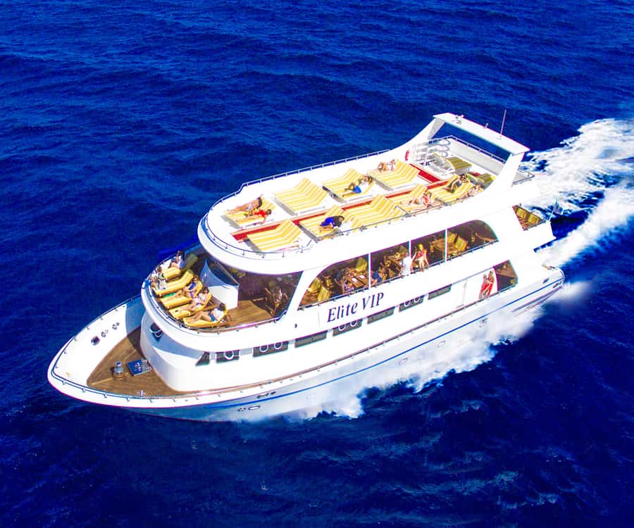 Hurghada: Elite vip snorkeling cruise with BBQ buffet lunch - Why the Elite VIP boat matters more than the name
