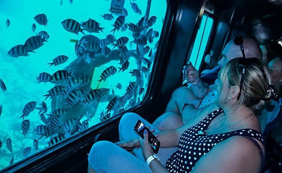 Hurghada: Empire Submarine Boat Trip with Snorkel and Drinks - Who will enjoy this most