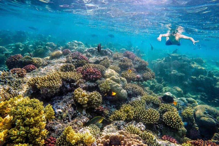 Hurghada: Full-Day Snorkeling Tour in Sharm El Naga w/Lunch - Beach time, swimming, and the water-access question