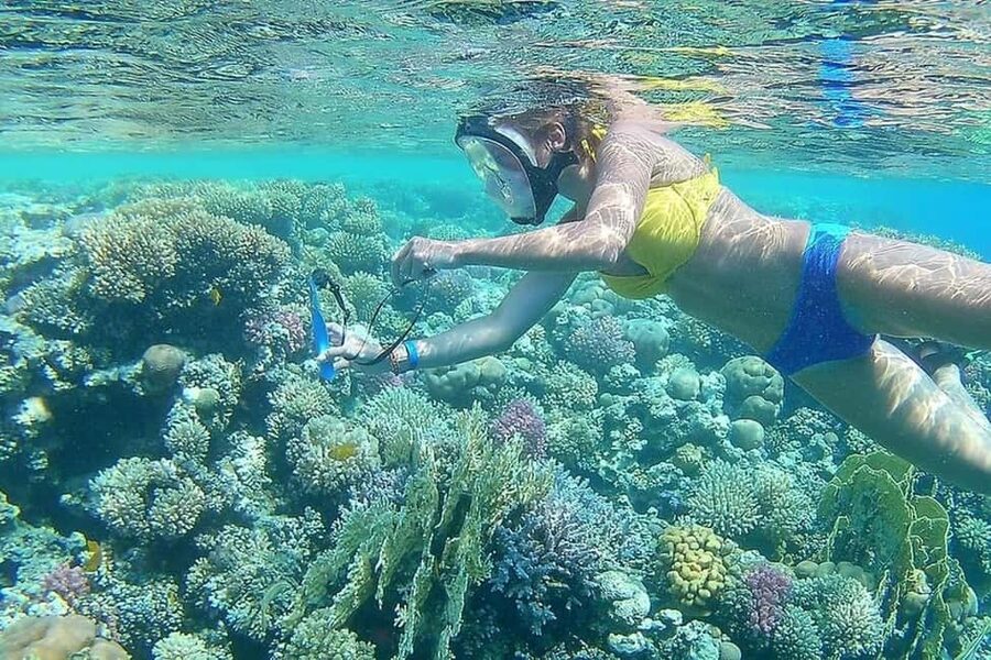 Hurghada: Full-Day Snorkeling Tour in Sharm El Naga w/Lunch - Lunch overlooking the bay
