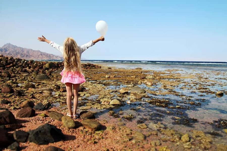Hurghada: Full-Day Snorkeling Tour in Sharm El Naga w/Lunch - What the $75 price really buys
