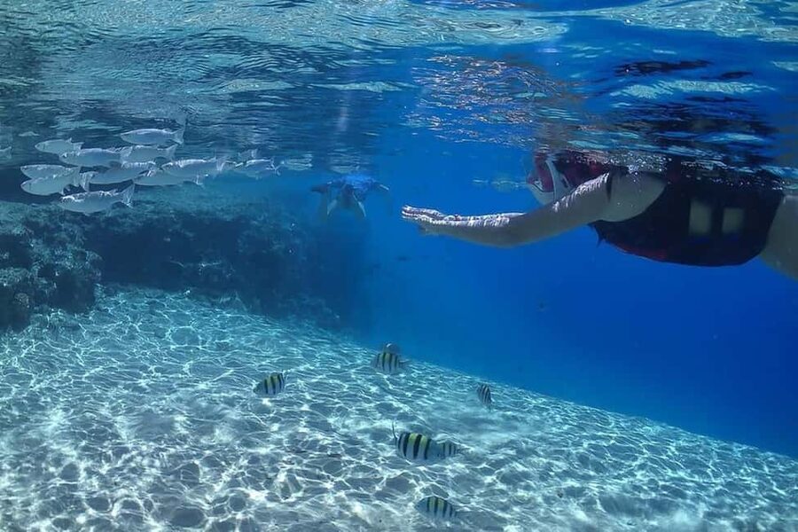 Hurghada: Full-Day Snorkeling Tour in Sharm El Naga w/Lunch - Who will enjoy this day most?