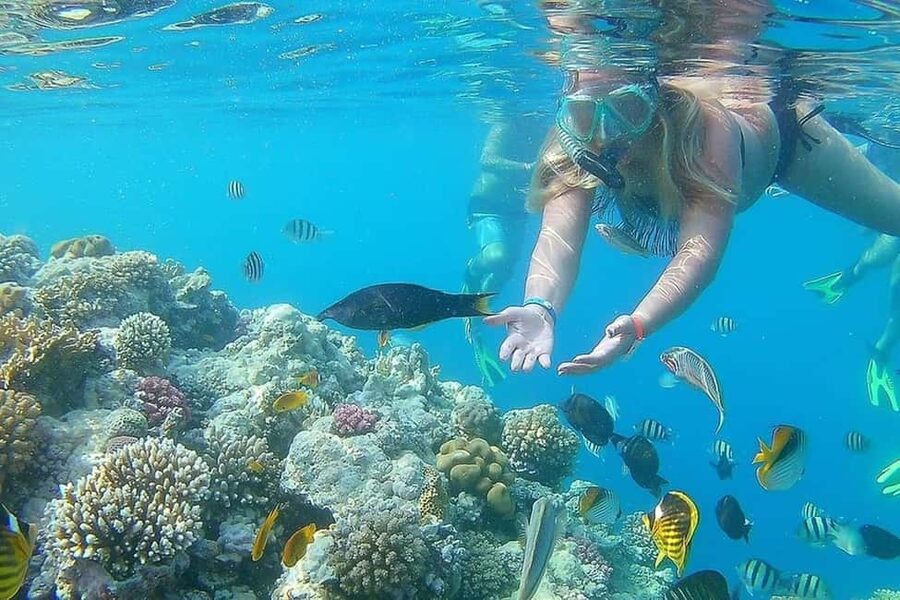 Hurghada: Full-Day Snorkeling Tour in Sharm El Naga w/Lunch - What to pack for a smoother day