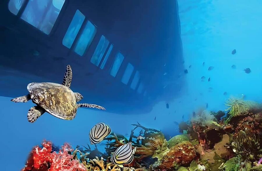 Hurghada: Glass Boat & Snorkeling with Optional Parasailing - The crew makes the difference