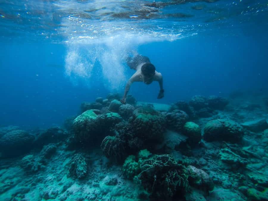 Hurghada:Luxury Diving & Snorkeling inc/Island/Lunch/Massage - A full day on the Red Sea