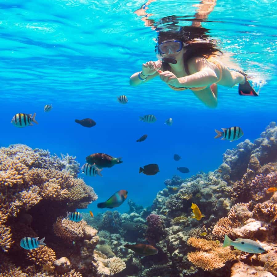 Hurghada: Luxury Giftun island w/snorkeling/lunch & Massage - Should you book the Royal Cruise Hurghada trip?