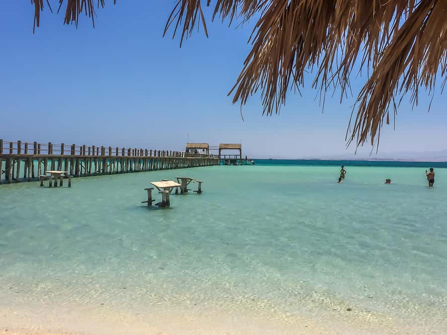 Hurghada: Luxury Giftun island w/snorkeling/lunch & Massage - Lunch arrives with fish, barbecue, and plenty of drinks