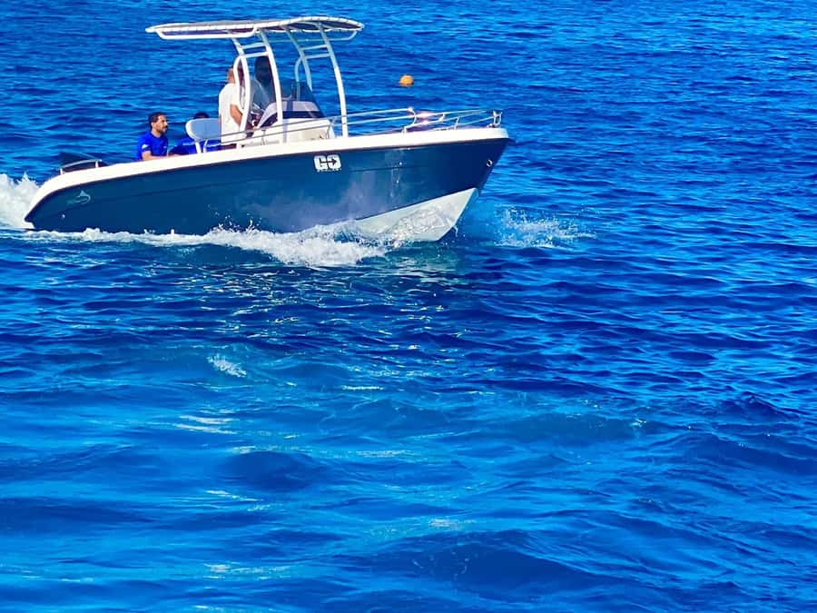 Hurghada: Orange Bay Dolphin Watching, Snorkeling & Lunch - FAQ