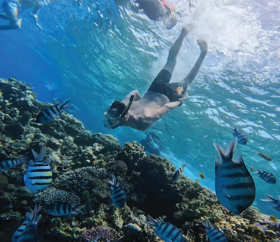 Hurghada: Premium Orange Island Cruise with Lunch & Transfer - Two hours on Orange Bay