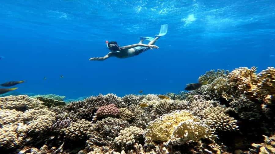 Hurghada: Snorkeling 6 x 1 to Orange Bay w Diving & Massage - Key details before you book