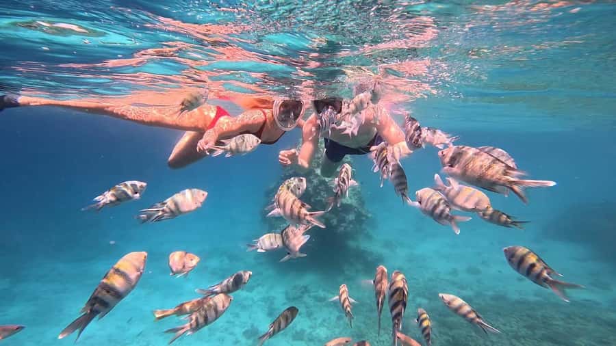 Hurghada: Snorkelling Trip by Speedboat with Hotel Pickup - What is included for $37
