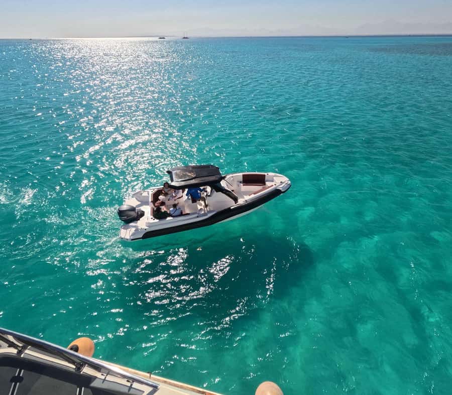 Hurghada: Speedboat Dolphin Watching & Snorkeling with Lunch - Two or three snorkeling stops on the Red Sea
