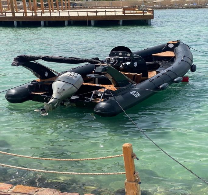 Hurghada: Speedboat Dolphin Watching & Snorkeling with Lunch - Pickup, timing, and what to bring