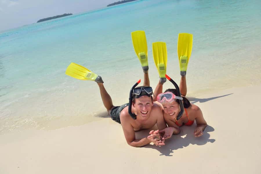 Hurghada: Speedboat Dolphin Watching & Snorkeling with Lunch - Who should book this Hurghada outing?