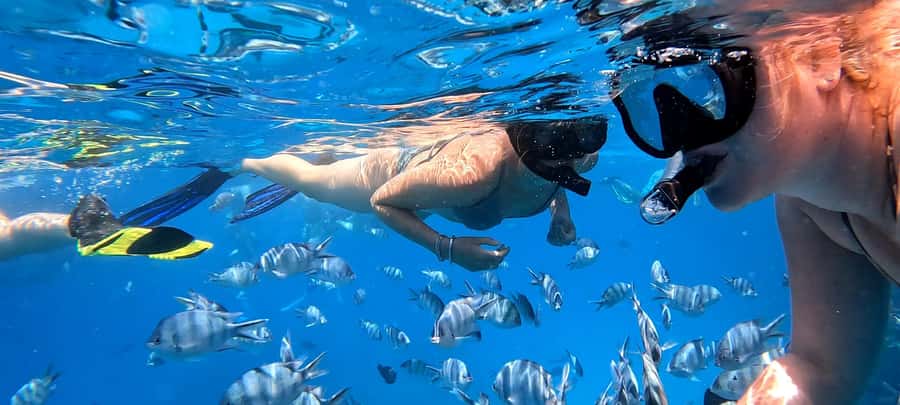 Hurghada: White Island Speedboat Tour, Snorkeling, & Lunch - White Island, shallow water, and time to explore