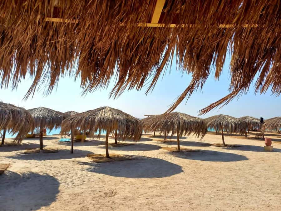 Hurghada: Yacht trip To Magawish island w Snorkeling & Lunch - What the boat day feels like