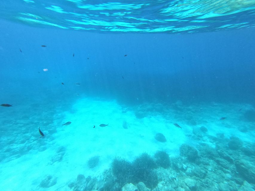 Hvar: Private Sailing Boat Trip with Swimming and Snorkeling - Jura’s relaxed approach