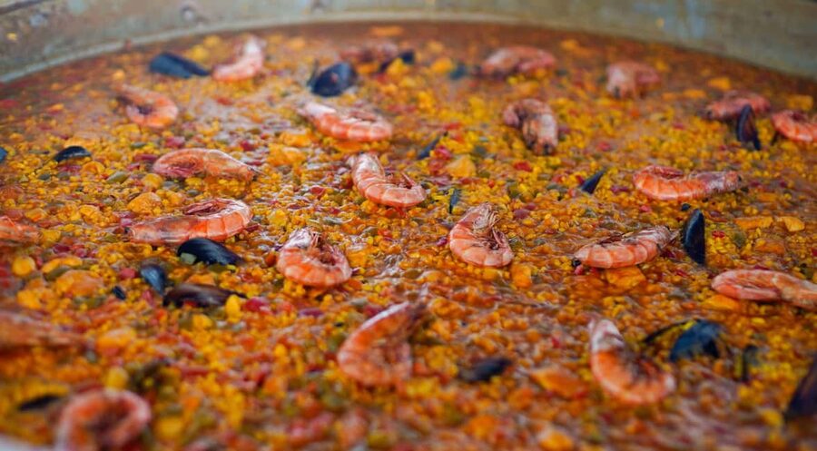 Ibiza: Formentera Trip with Paddle, Snorkel and Lunch - Starting at Playa den Bossa at 8:30