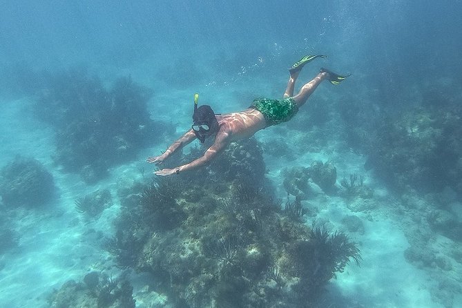 Icacos Deserted Island Catamaran, Snorkel, and Picnic Cruise - Is $138.50 a good value?