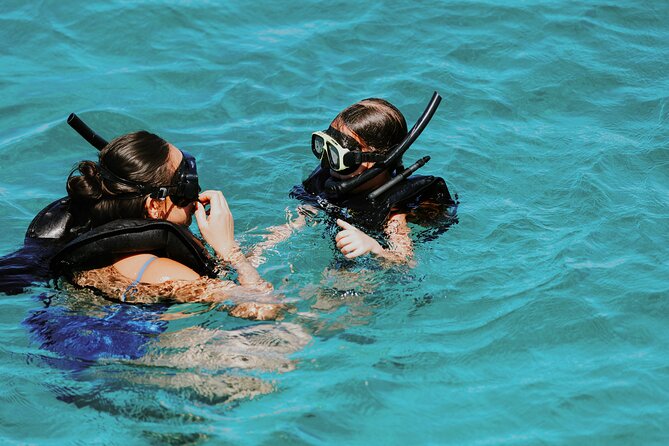 Iconic Aruba Sail and Snorkel Experience - Who will enjoy this catamaran trip?