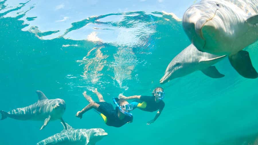 Île aux Bénitiers: Snorkeling w/Dolphins Boat Tour & Lunch - Crystal Rock with Le Morne behind you