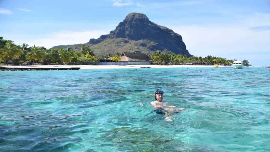 Île aux Bénitiers Snorkeling with Dolphins + Seafood Lunch - Is $80 a fair price?