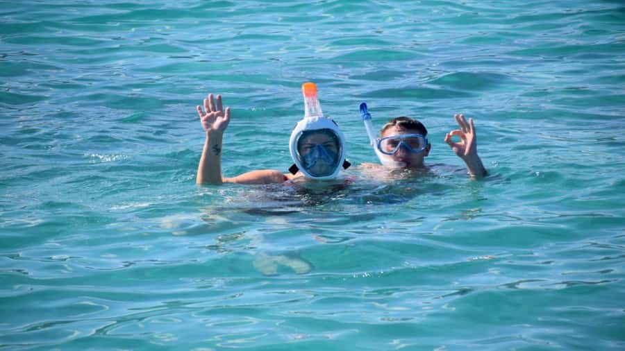 Île aux Bénitiers Snorkeling with Dolphins + Seafood Lunch - Swimming near dolphins in the southwest lagoon