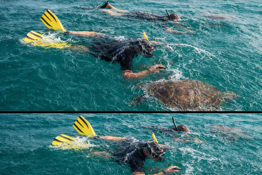 Ilha Do Sal: Snorkeling with Local Guide - Timing, pace, and the 90-minute reality