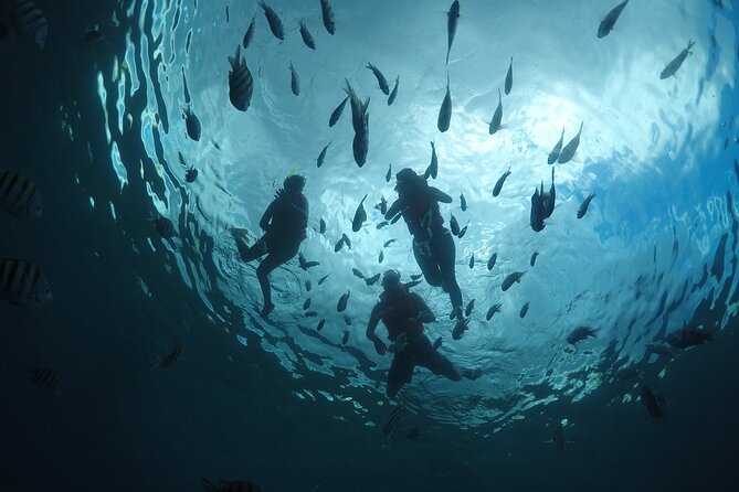 Invisible Boat Snorkeling Tour - A glass-bottom boat with a useful twist