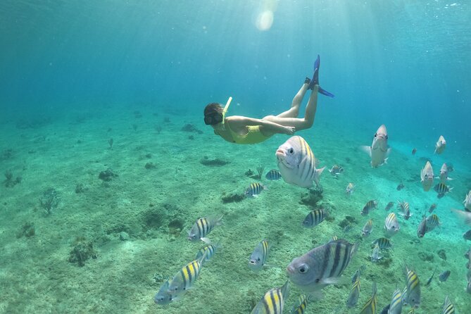 Invisible Boat Snorkeling Tour - Drinks, photographs, and the extra-cost questions
