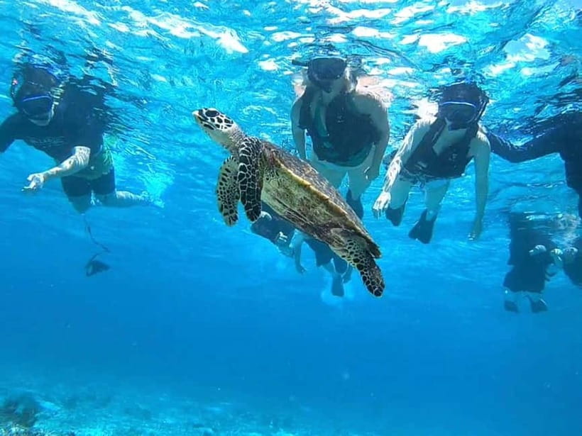 Iriomote: Boat Snorkeling Tour at Barasu Island - Rain, cancellations, and the details that can affect your day